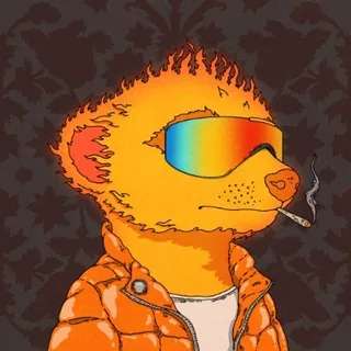 Profile picture of Timon "The OG"