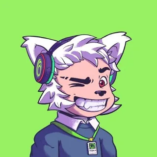 Profile picture of timur.sol